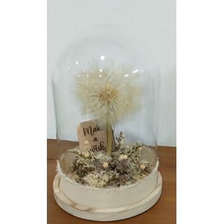 Cúpula deseos - Imagen 2