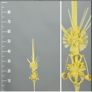 Palma blanca colgantes trenzada - Imagen 1