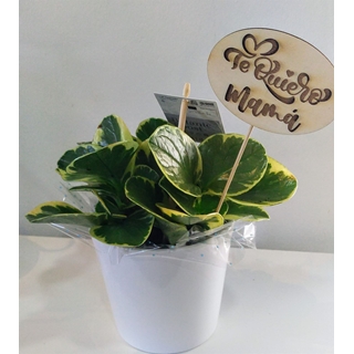 Pick Te quiero mamá redondo - Imagen 2